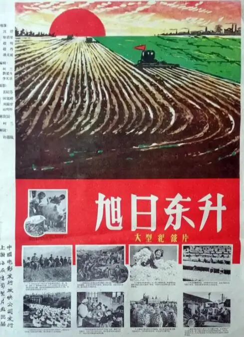 《旭日东升》：少年热血，梦想启航！一场关于青春、友谊与成长的激情告白