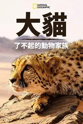 《猫科动物：奇妙的动物家族》：揭秘猫咪世界的柔软与野性，一场视觉与情感的双重盛宴
